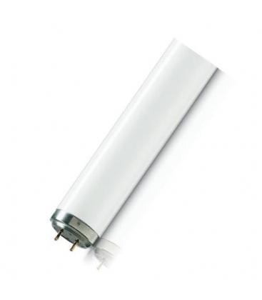 TL-d 18W/52 uv-b Medical Therapy Jaundice