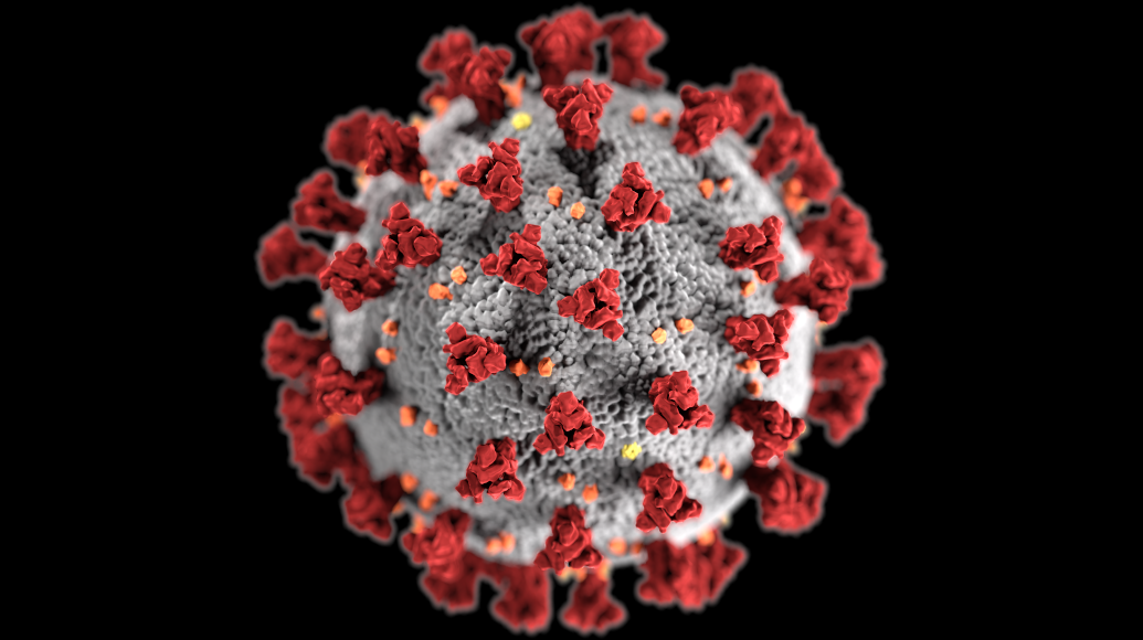 Virus Corona