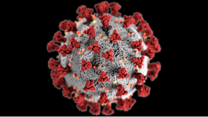 Coronavirus